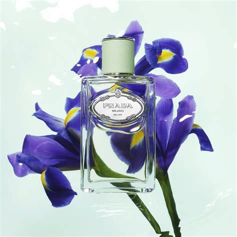 prada iris perfume 3.4 oz|Prada iris perfume sephora.